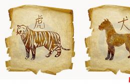 Мужчина-тигр и женщина-собака совместимость Совместимость тигр и собака по китайскому календарю